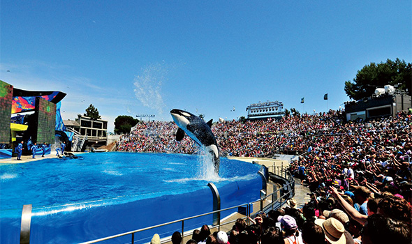 美国圣地亚哥 Sea World